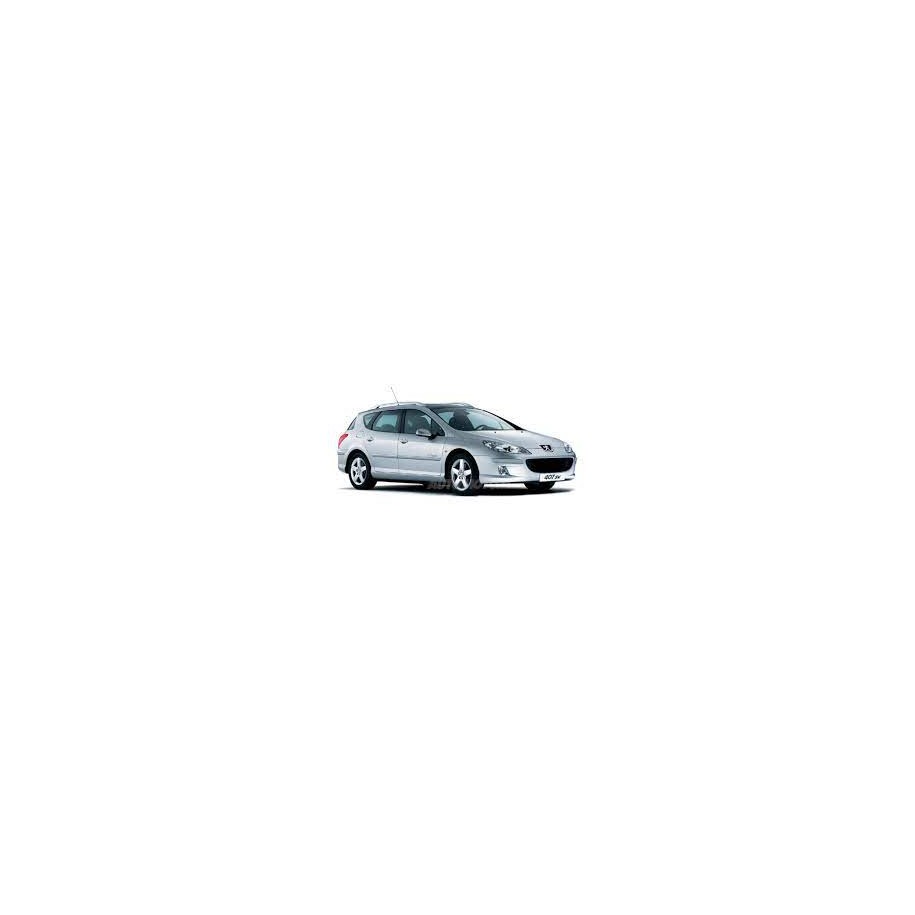 LUNOTTO PEUGEOT 407 SW VERDE PRIVACY 04--