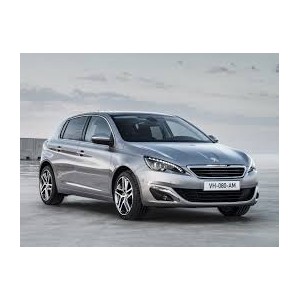 FISSO PORTA P/SX PEU 308 13-- PRIVACY 5P