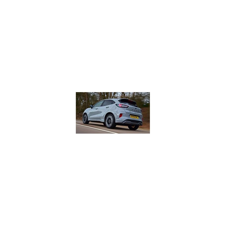 FANALE P/DX INT FORD PUMA 20--