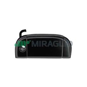 MAN APRIP EST A/DX TRANSPORTER T4 90--03 C/FORO