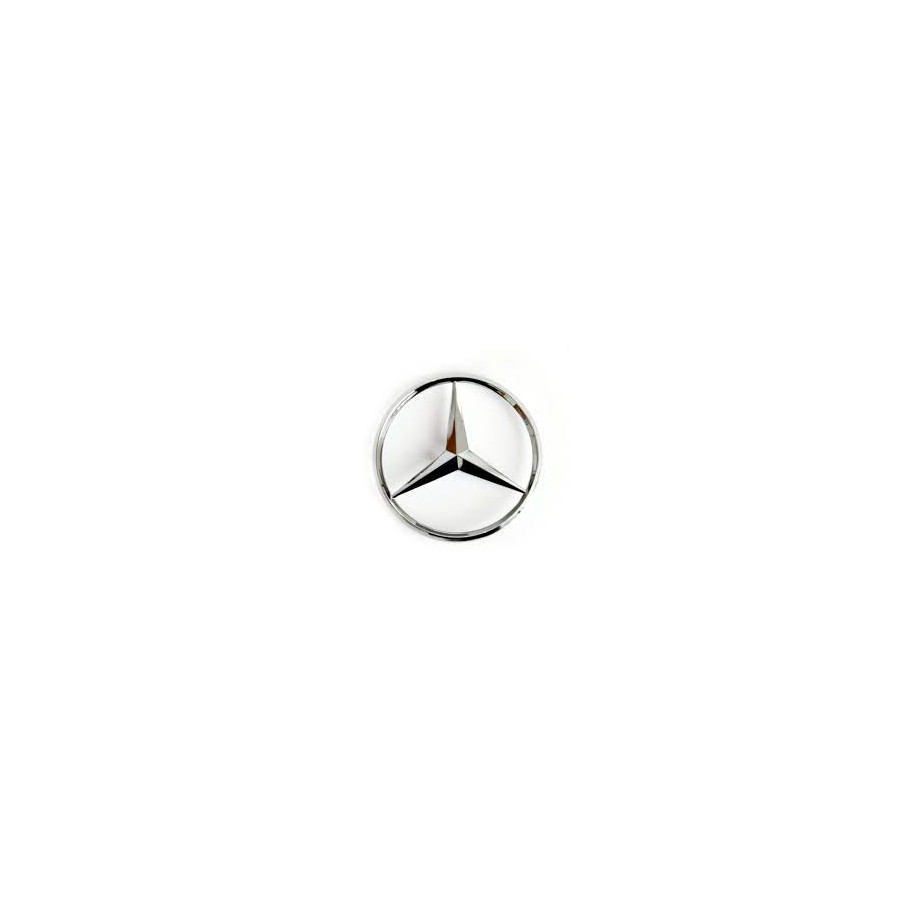 STELLA COFANO POST MER CLK 03--