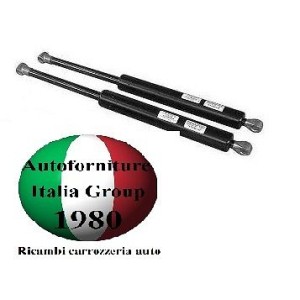 MOLLA A GAS POST GRANDE PUNTO 05--EVO 08--(440L-35