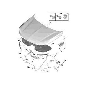 CAVO APRICOFANO ANT OP GRANDLAND X 17--