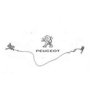 CAVO COFANO ANT PG 2008