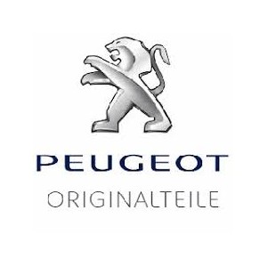 SPUGNA PARAFANGO ANT DX INT LATO POST PG 208 12--