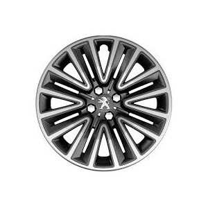 COPPA RUOTA PG 2008 13-- R16