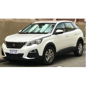 SCENDENTE PORTA POST SX PEUGEOT 3008 17-- PRIVACY