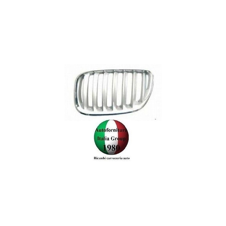 GRIGLIA RAD SX BMW X5 E53 03--06 CR/TITANIO