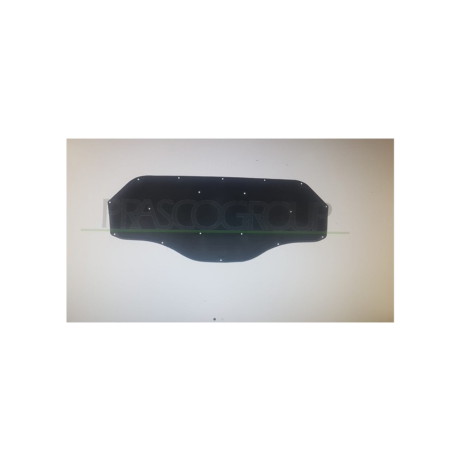 PANNELLO SOTTOCOFANO BMW X1 F48 15--
