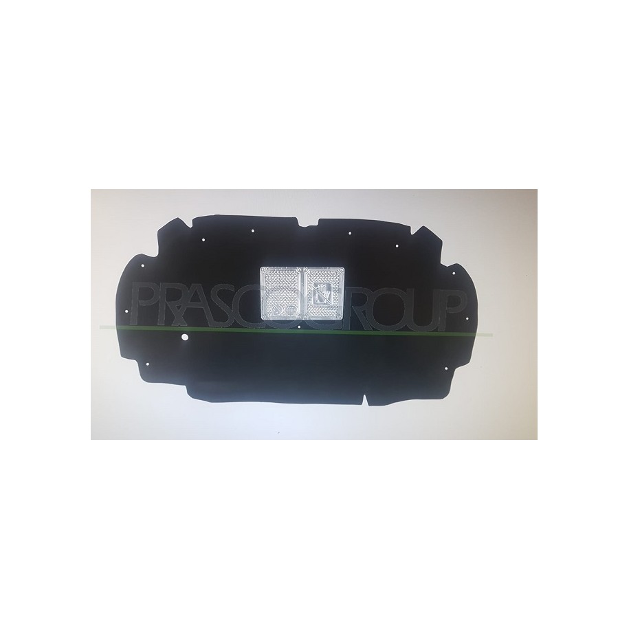 PANNELLO SOTTOCOFANO CITROEN C5 01-- 12 CLIPS