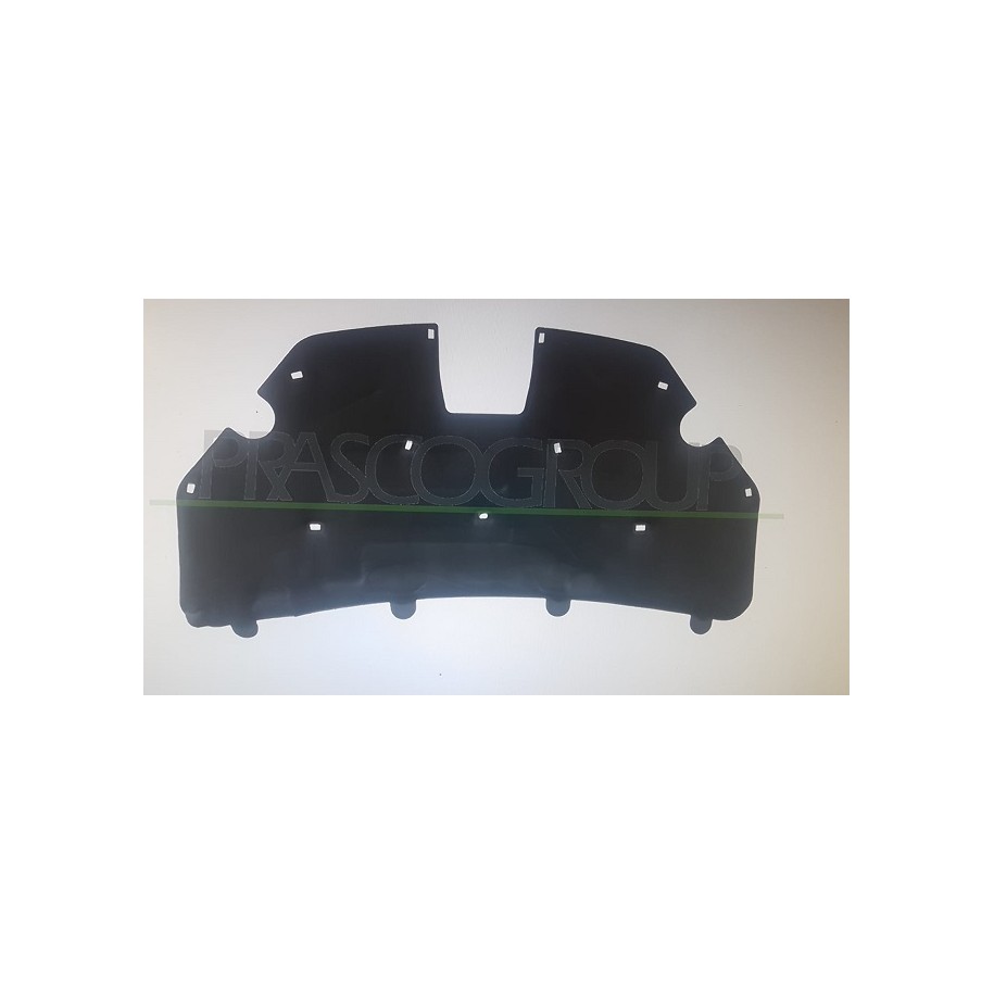 PANNELLO SOTTOCOFANO FORD FOCUS 07-- 11 CLIPS