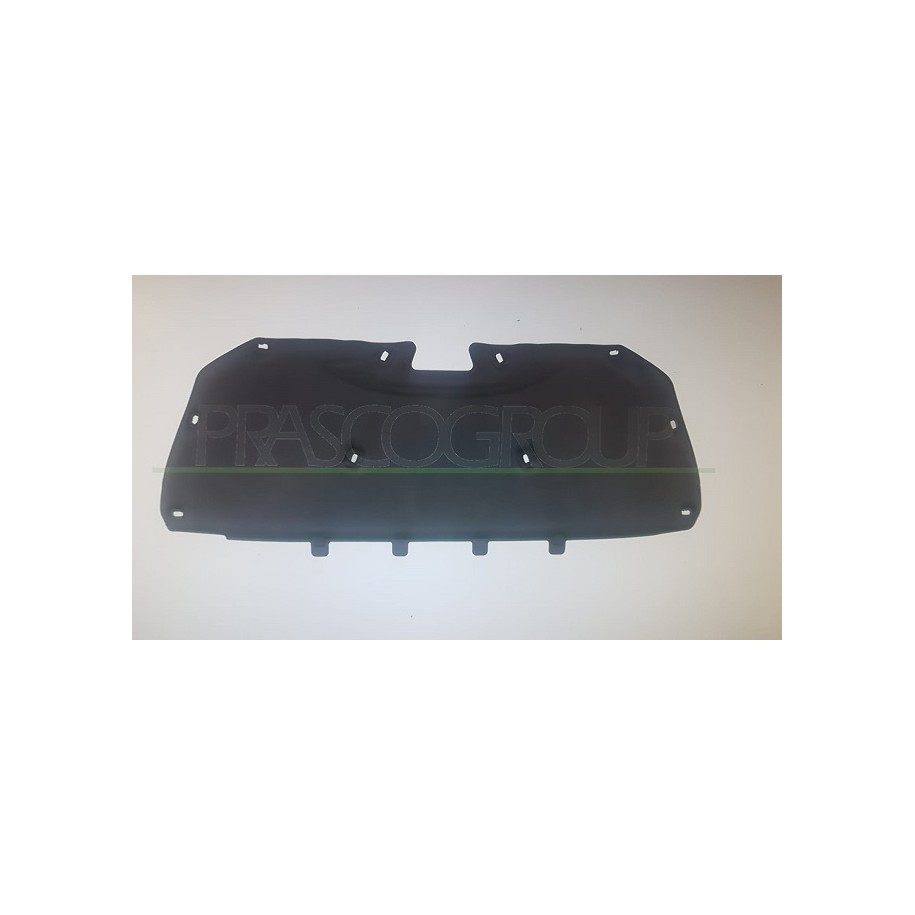 PANNELLO SOTTOCOFANO FORD FOCUS 15-- 10 CLIPS