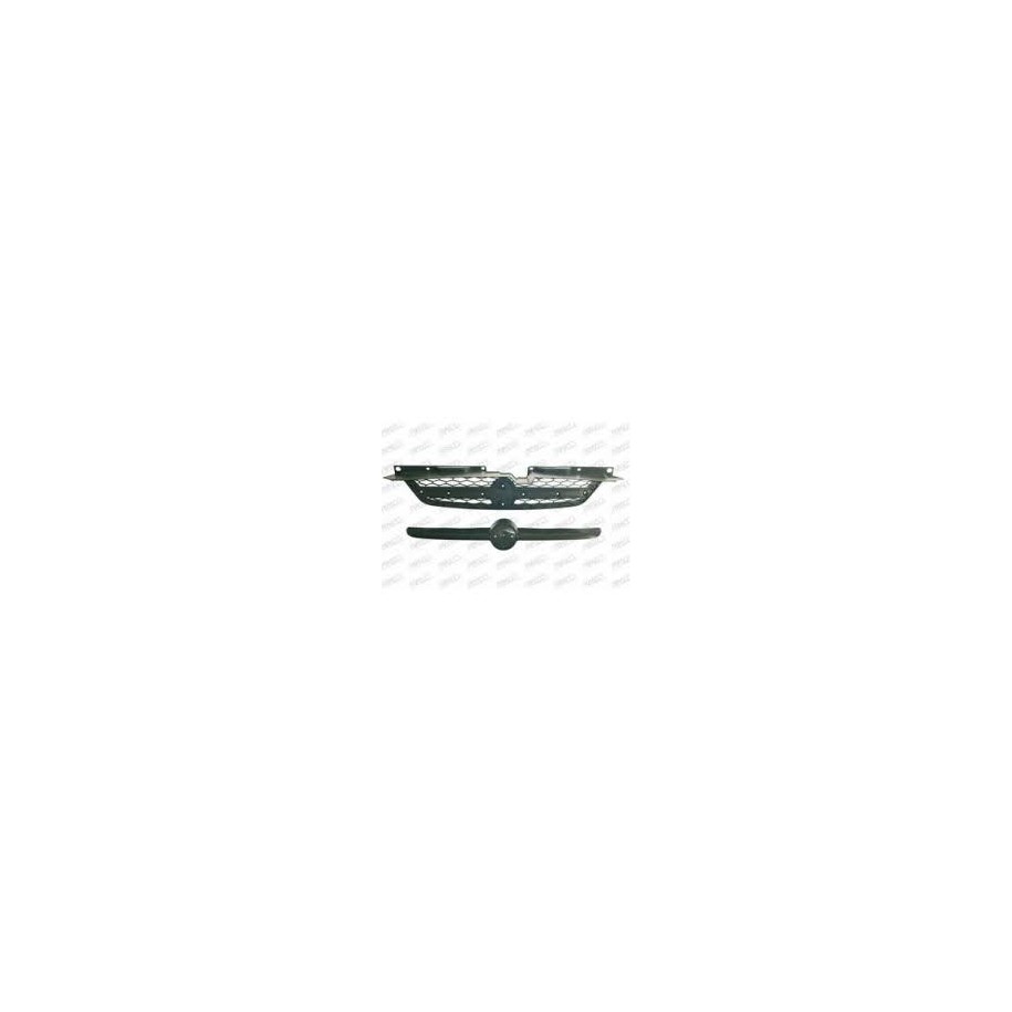 GRIGLIA RAD KIA RIO 02--