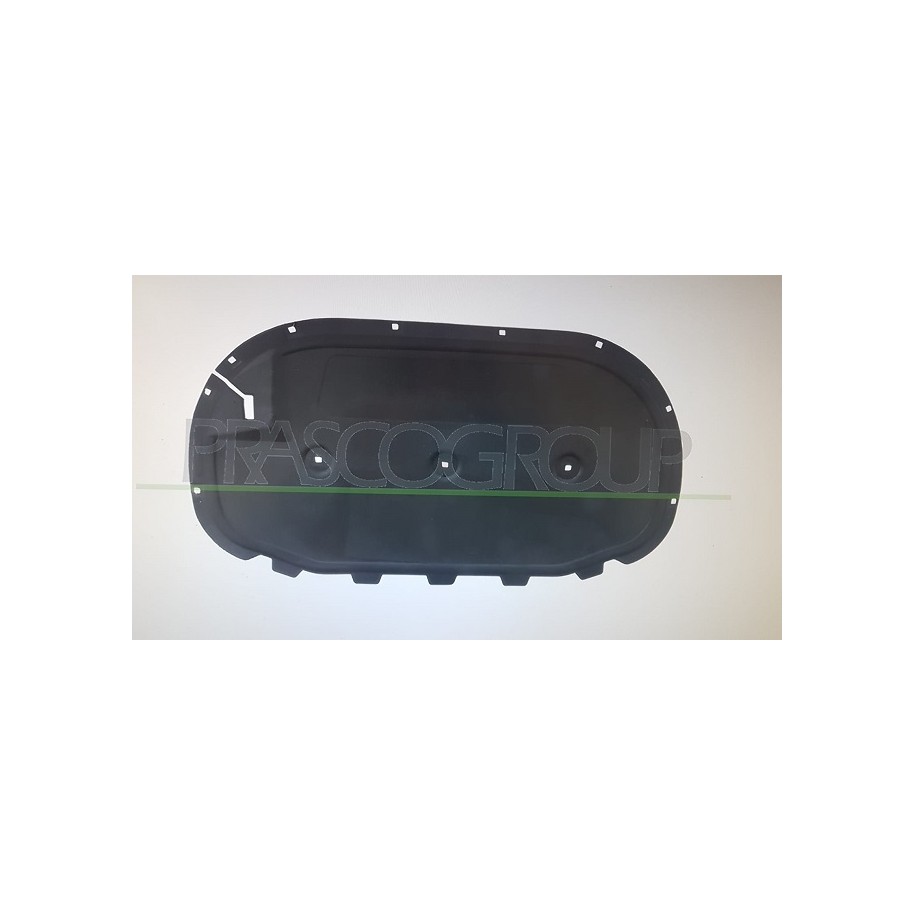 PANNELLO SOTTOCOFANO VW PASSAT VII 14-- 12 CLIPS