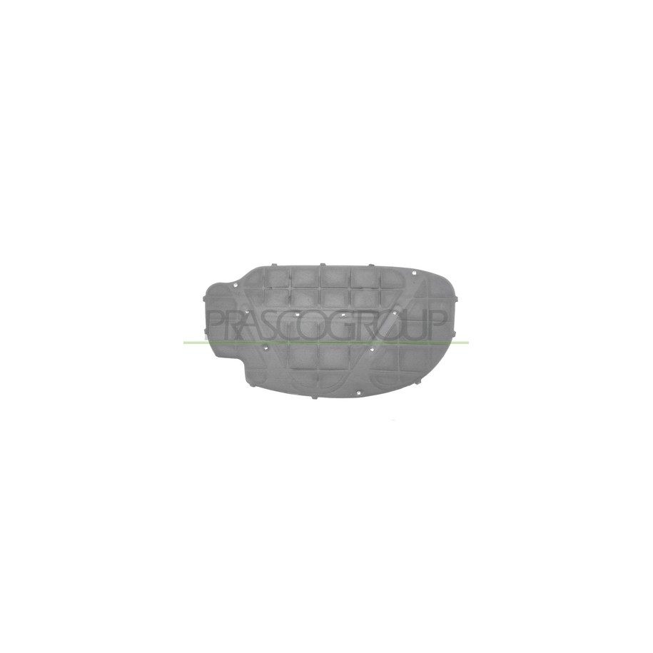 PANNELLO SOTTOCOFANO VW GOLF V 03--