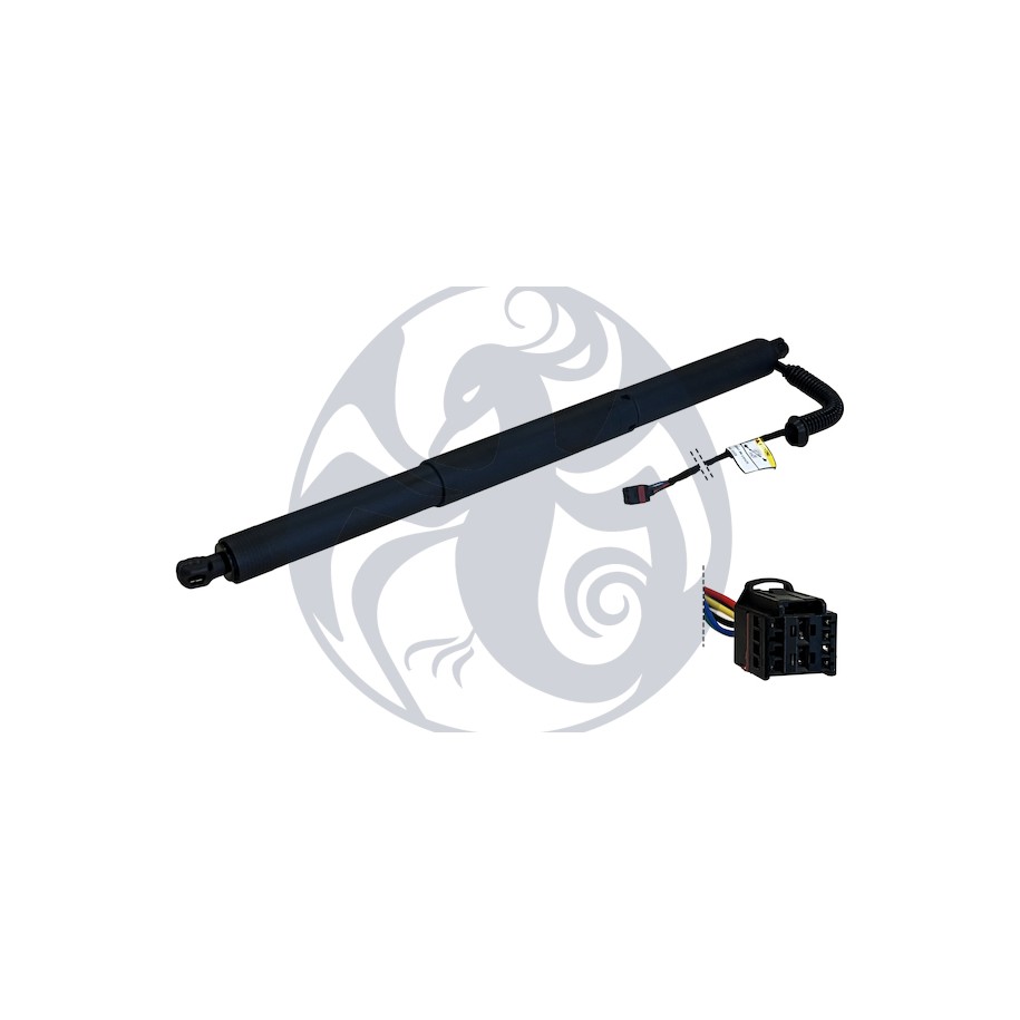 MOLLA ELETT BAU SX VW T-ROC 17-- C/CH AUT 6 PIN