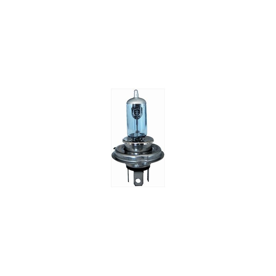 LAMPADA 12/60/55 (H4) BLUE VIEW